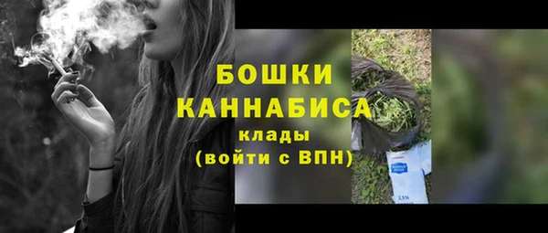 spice Рославль