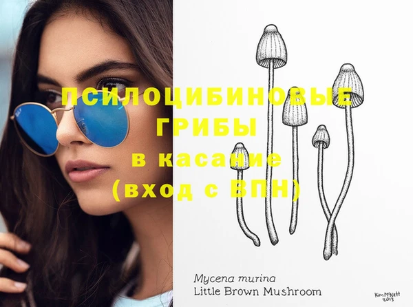 мяу мяу мука Гатчина