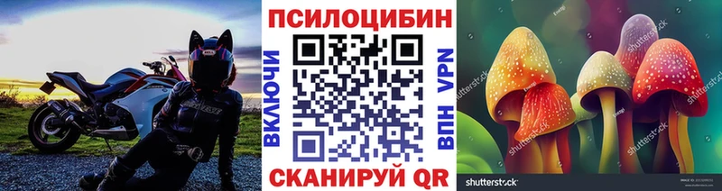 цены наркотик Кораблино Галлюциногенные грибы Cubensis